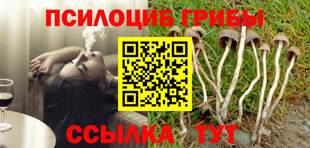 Каспийск  Псилоцибиновые грибы GOLDEN TEACHER  Вход с VPN 