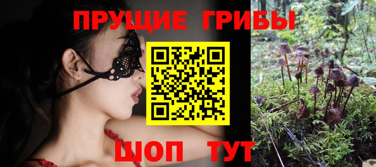 Галлюциногенные грибы прущие грибы Каспийск